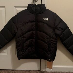 The north face puffer jacket 2000